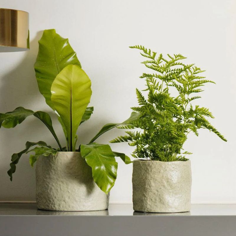 Planters