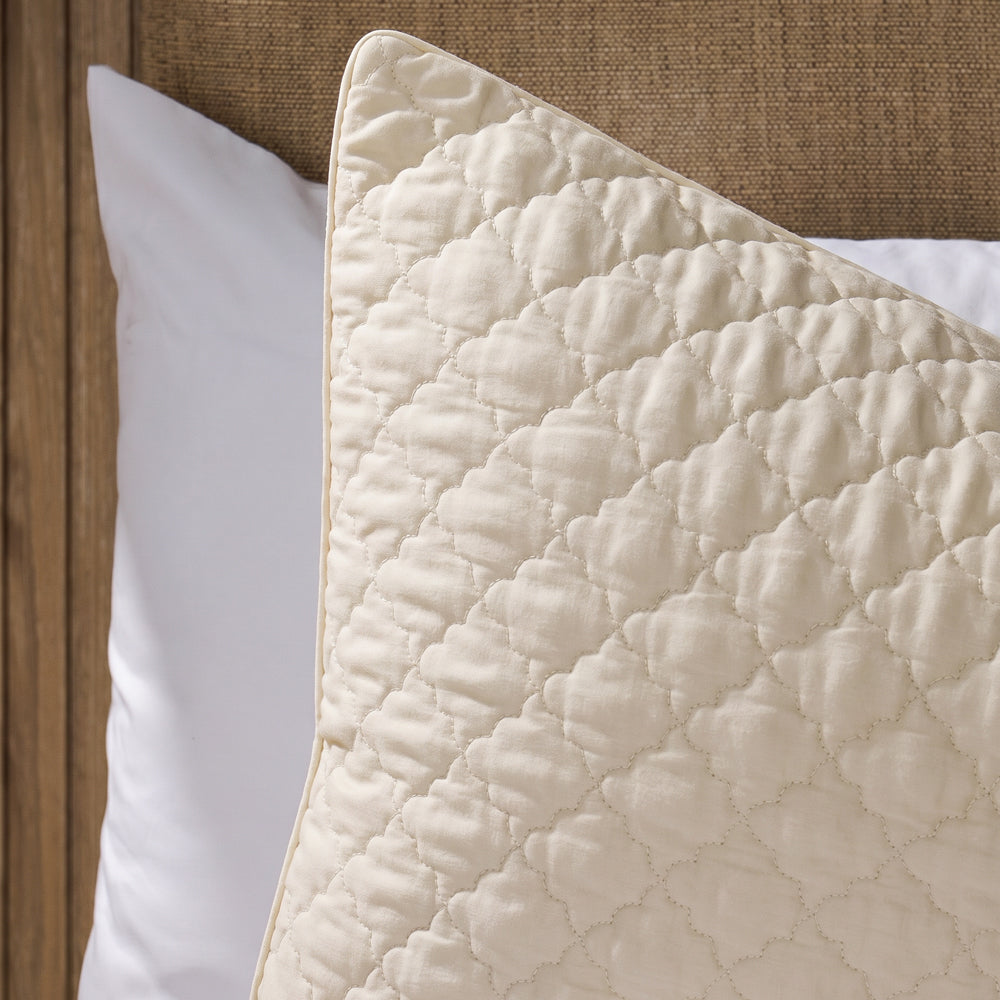 Clay Whisper Soft Premium Cotton Quilt Ivory