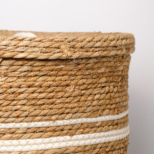 Cotton/Bulrush Basket with Lid Large - Cream