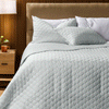 Nest Wild Protea Microfibre Printed Quilt Set Duck Egg