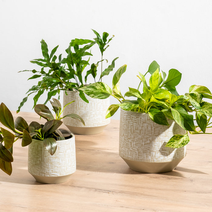 Ceramic Planter Etched - Taupe Criss Cross