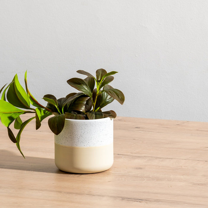 Ceramic Planter - Cream Two-Tone