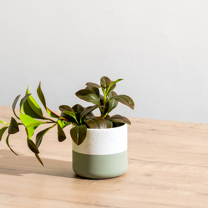 Ceramic Planter - Moss Two-Tone