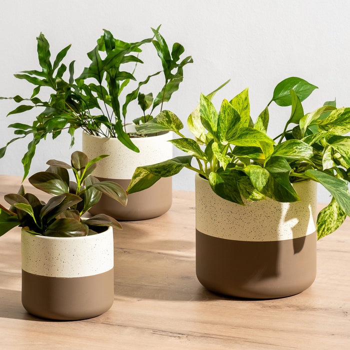 Ceramic Planter - Taupe Two-Tone