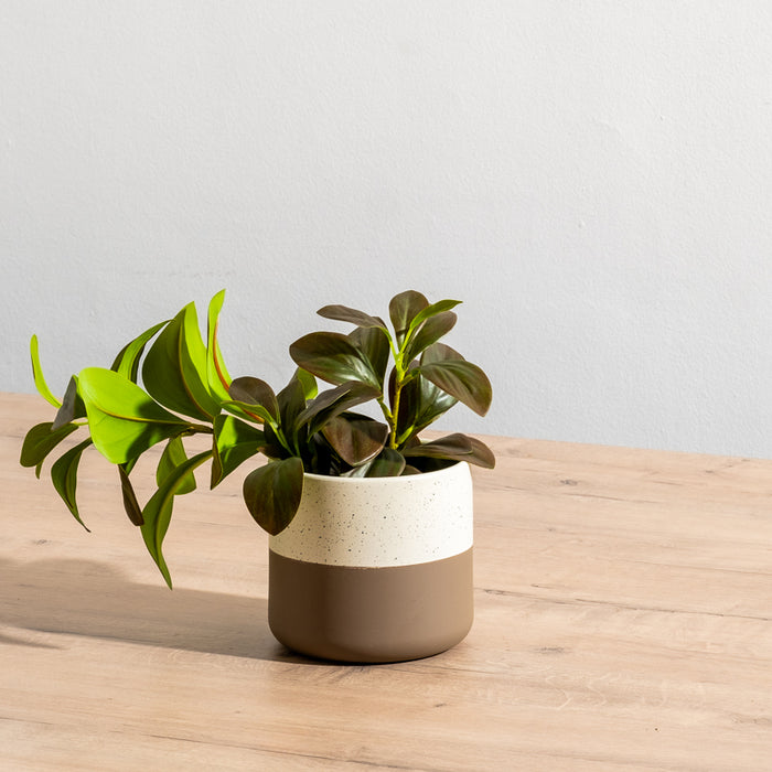 Ceramic Planter - Taupe Two-Tone