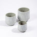 Ceramic Planter Etched - Grey Stripe-Décor