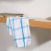 Checks Dishcloth - Red and Blue Pair-DISHCLOTH