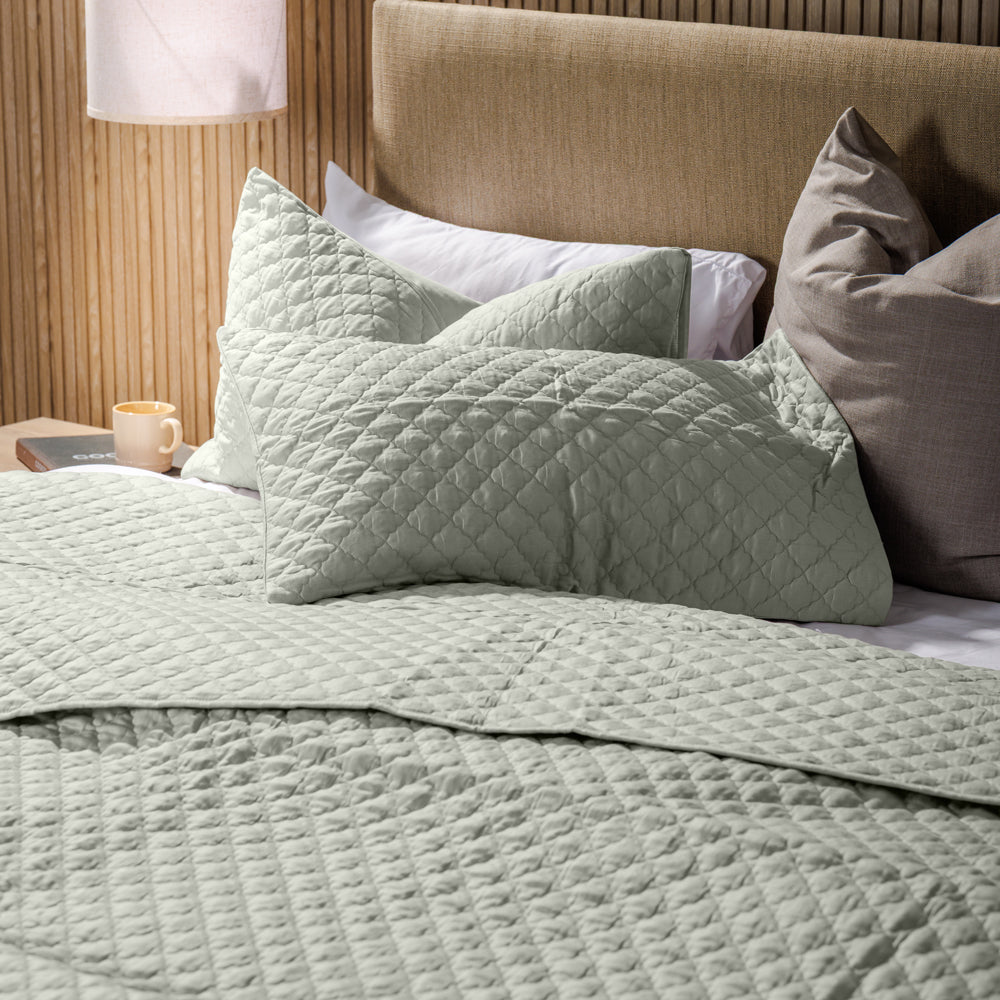 Clay Whisper Soft Premium Cotton Quilt Aquifer-Quilts & Comforters