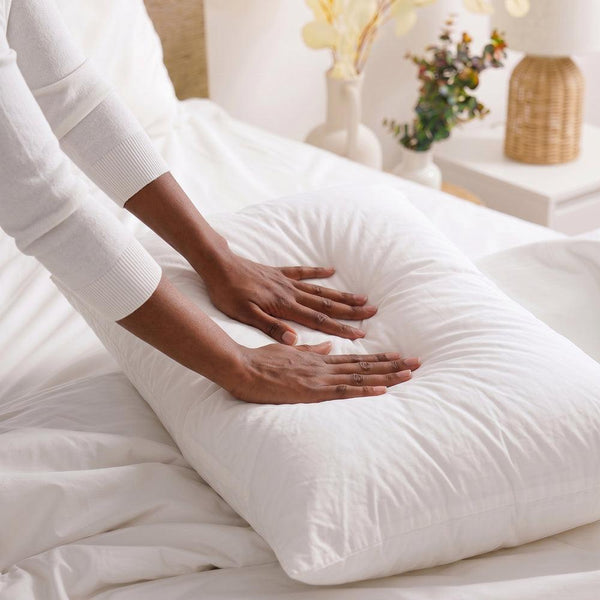 Deluxe Microfibre Twin Pack Pillows | Standard – Whitehouse
