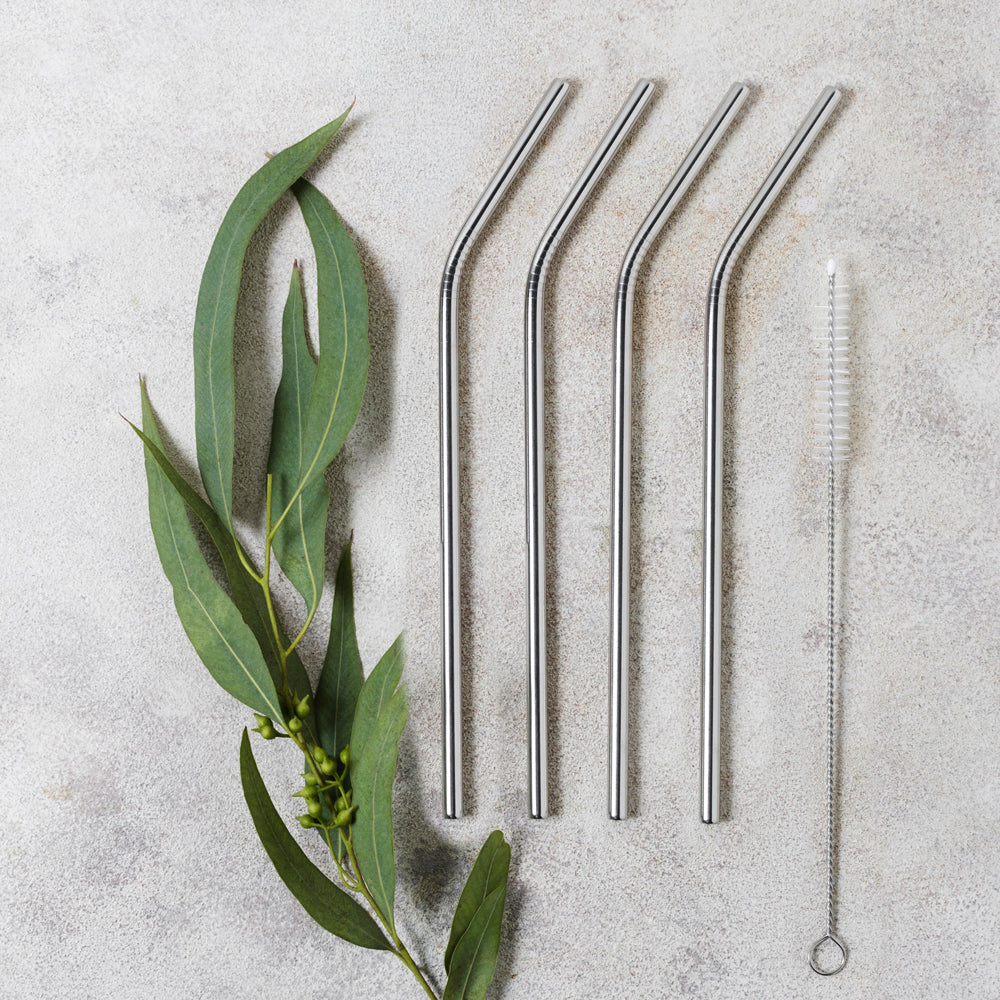 Drinking Straws set of 5 with Cleaning Brush Stainless Steel-Bar Accessories