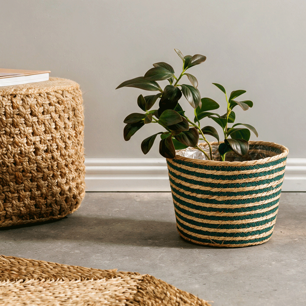Home.life Bulrush Cotton Lined Planter Forest Green-Planters