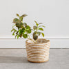 Home.Life Bulrush Cotton Lined Planter Ivory