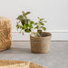 Home.life Bulrush Cotton Planter Lined Grey-Planter