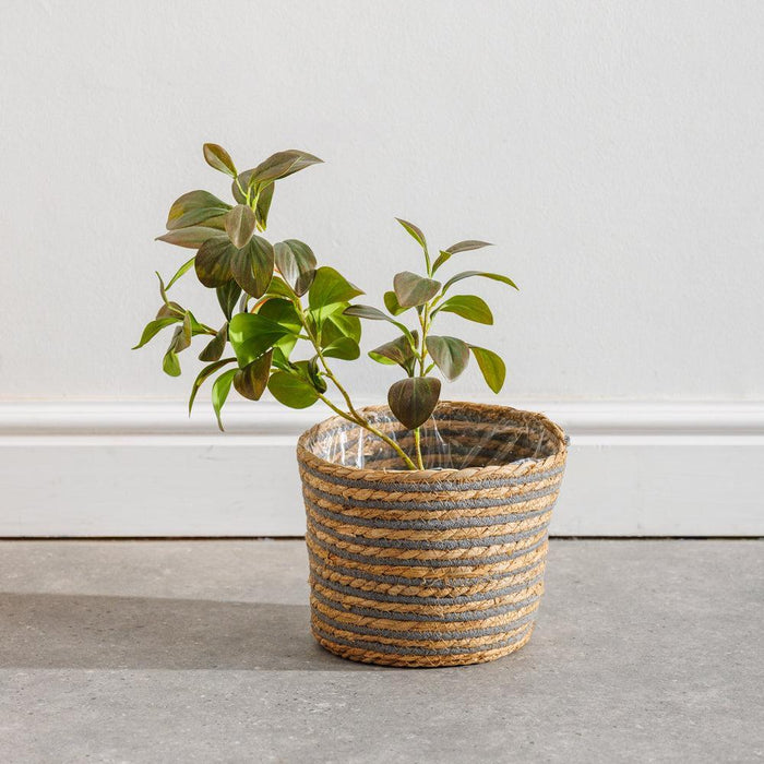 Home.life Bulrush Cotton Planter Lined Grey-Planter