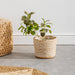 Home.life Bulrush Cotton Planter Lined Ivory-Planter