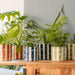 Home.Life Planter Natural Bold Stripe Autumn-Décor