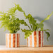 Home.Life Planter Natural Bold Stripe Autumn-Décor