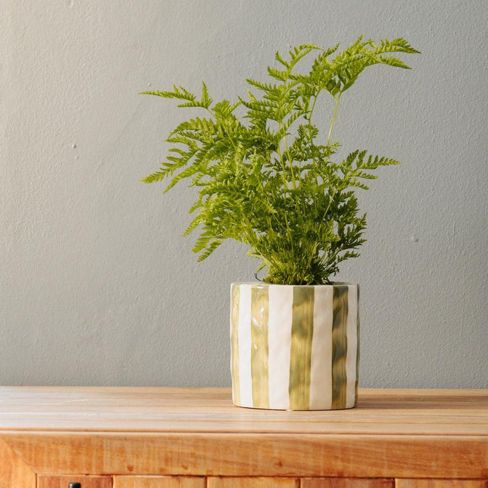 Home.Life Planter Natural Bold Stripe Forest-Décor