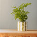 Home.Life Planter Natural Bold Stripe Forest-Décor