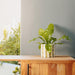 Home.Life Planter Natural Bold Stripe Forest-Décor