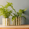 Home.Life Planter Natural Bold Stripe Forest