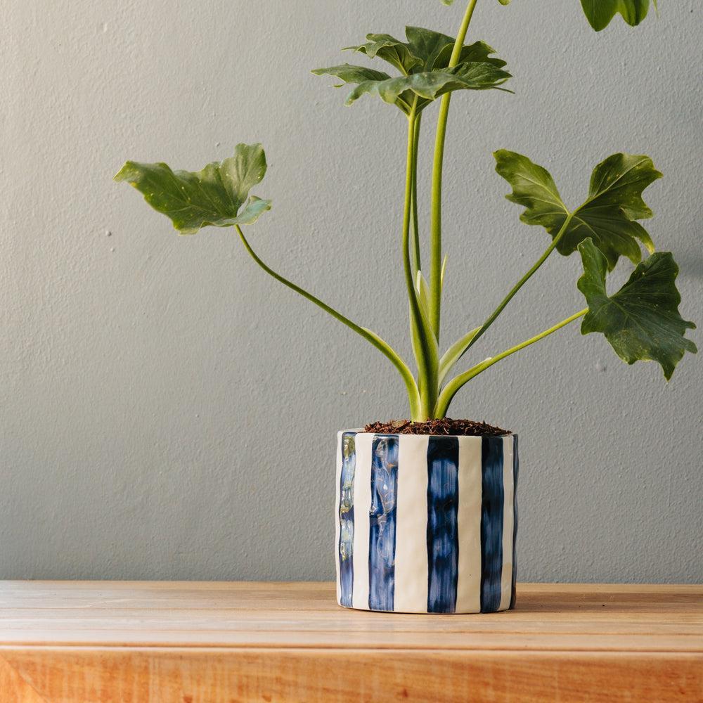 Home.Life Planter Natural Bold Stripe Ocean Bay-DÃ©cor