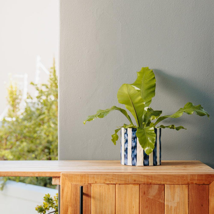 Home.Life Planter Natural Bold Stripe Ocean Bay-Décor