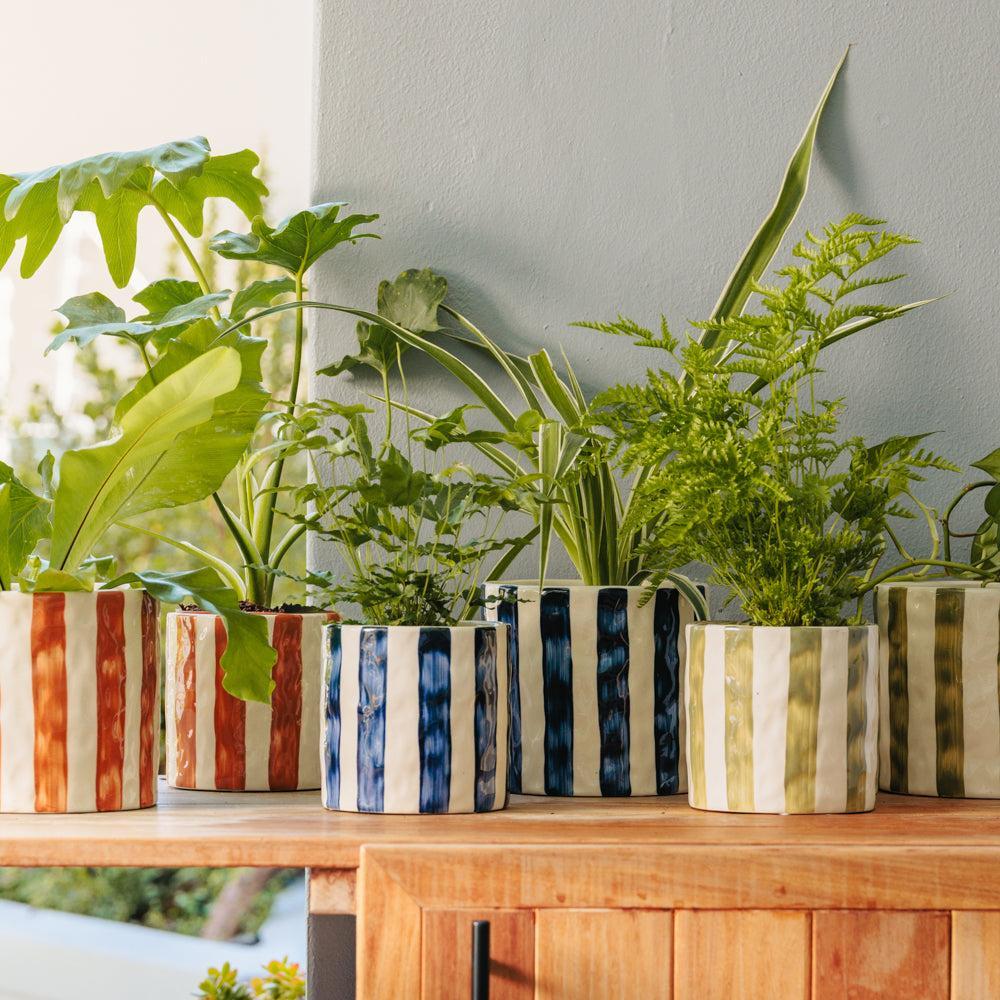 Home.Life Planter Natural Bold Stripe Ocean Bay-DÃ©cor