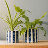 Home.Life Planter Natural Bold Stripe Ocean Bay