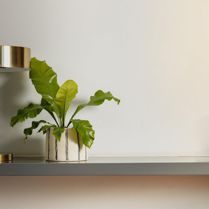 Home.Life Planter Natural Double Stripe Black-Décor