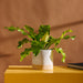 Home.Life Planter White with Natural Base-Planter
