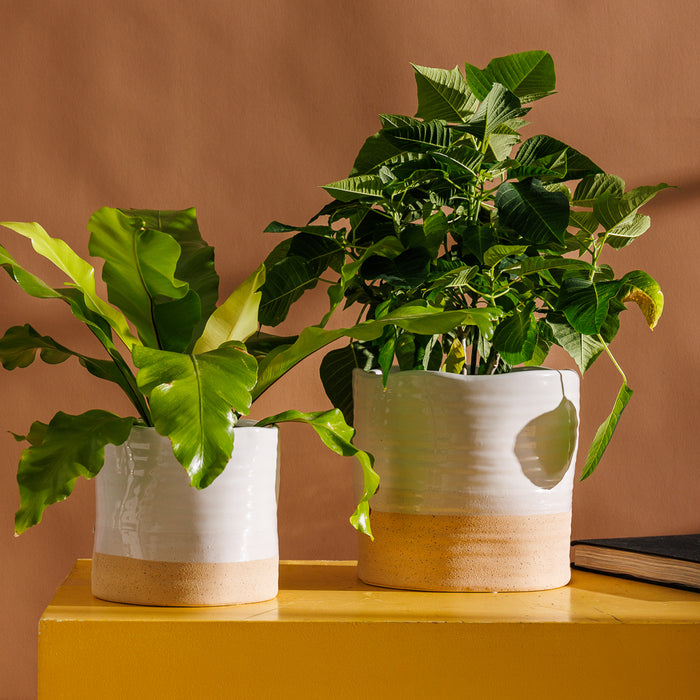 Home.Life Planter White with Natural Base-Planter