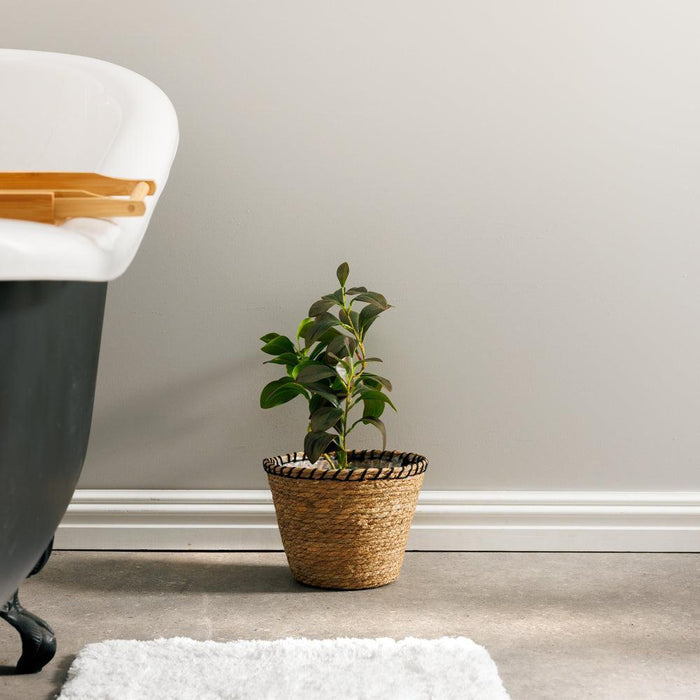 Home.Life Rush Rimmed Lined Planter Black-Planter