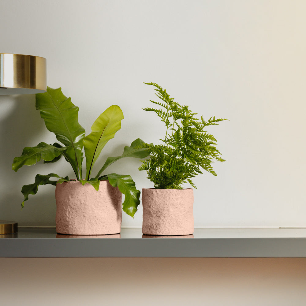Home.Life Shaped Planter Organic Blush-Decor