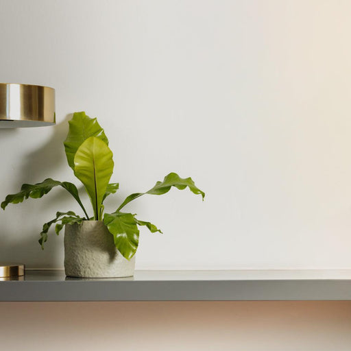 Home.Life Shaped Planter Organic Dusty Green-DÃ©cor