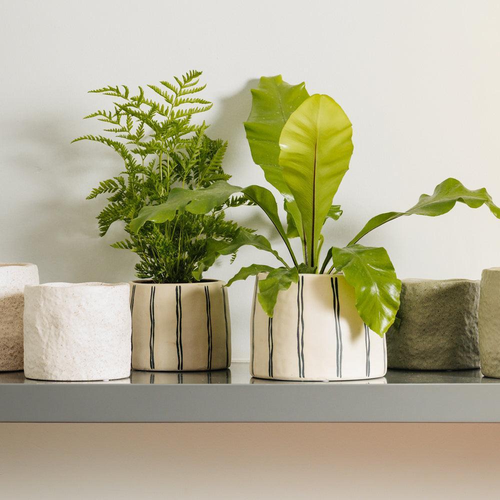 Home.Life Shaped Planter Organic Dusty Green-DÃ©cor