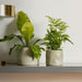 Home.Life Shaped Planter Organic Dusty Green-Décor