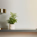 Home.Life Shaped Planter Organic Natural Ivory-Décor