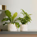 Home.Life Shaped Planter Organic Natural Ivory-Décor