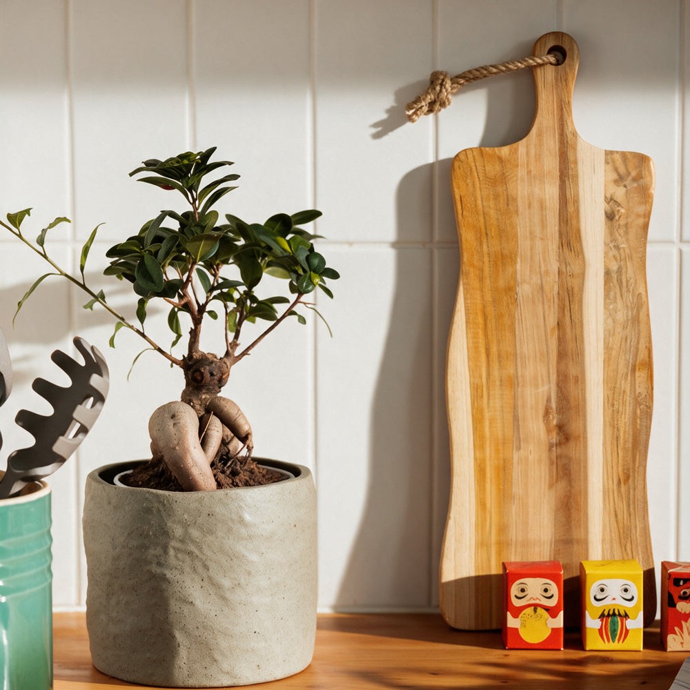Lacquered Teak Wooden Board with Handle-Bar Accessories