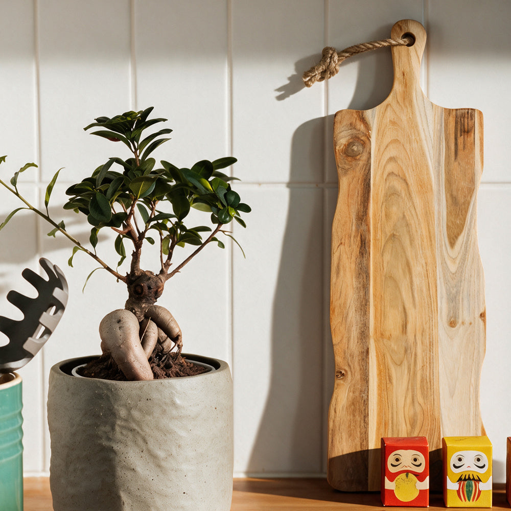 Lacquered Teak Wooden Board with Handle-Bar Accessories