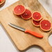 Moretti Rounded Serrated Knife - Orange-Knives