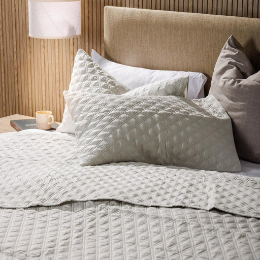 Moss Whisper Soft Premium Cotton Quilt Silver-Quilts & Comforters