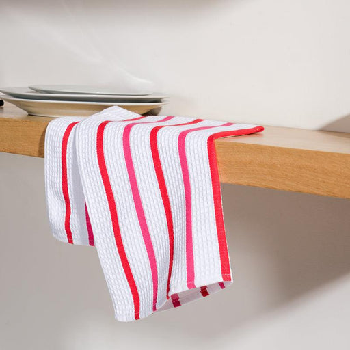 Multistripe Dish Cloths - Red and Blue Set-DISHCLOTH