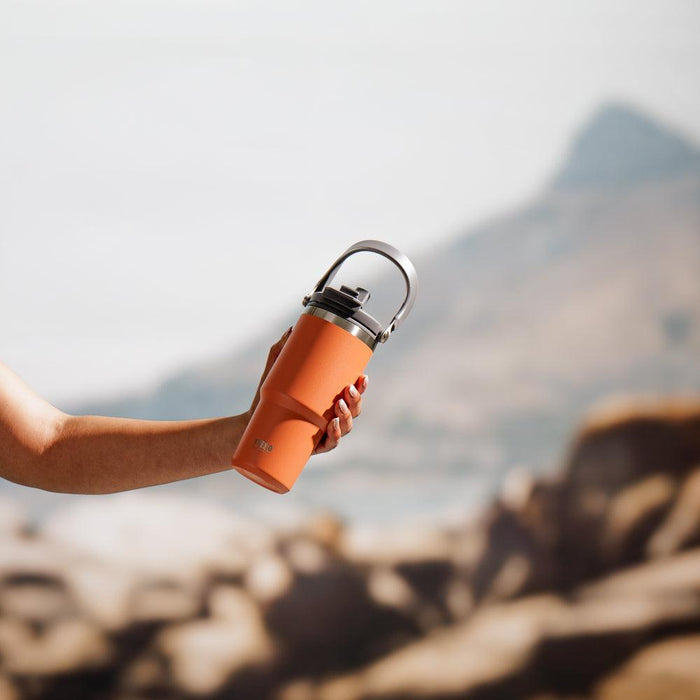 Tyeso Stainless Steel Tumbler Orange {WIP}-Mug